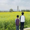 黄山旅游 缩略图 3