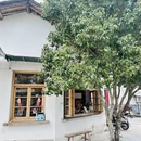 黄山旅游 缩略图 4