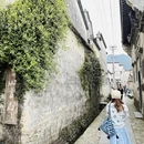 黄山旅游 缩略图 7