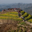 黄山旅游 缩略图 6