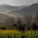 黄山旅游 缩略图 7