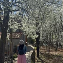 阿坝旅游 缩略图 5