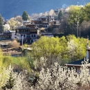 成都旅游 缩略图 6