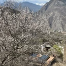 阿坝旅游 缩略图 12