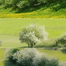 成都旅游 缩略图 1