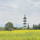 黄山旅游 缩略图 2