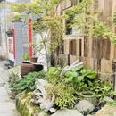 黄山旅游 缩略图 12