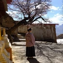 甘孜旅游 缩略图 1