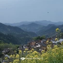 黄山旅游 缩略图 5