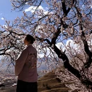 甘孜旅游 缩略图 3