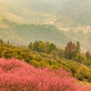 黄山旅游 缩略图 1