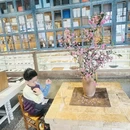 黄山旅游 缩略图 13