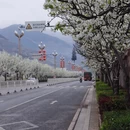 雅安旅游 缩略图 4