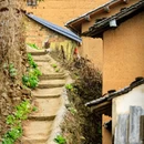黄山旅游 缩略图 9