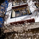 甘孜旅游 缩略图 11