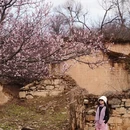 甘孜旅游 缩略图 8