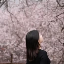 甘孜旅游 缩略图 9