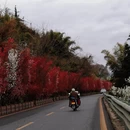 雅安旅游 缩略图 8