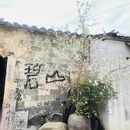 黄山旅游 缩略图 16