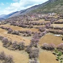 甘孜旅游 缩略图 3