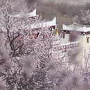 甘孜旅游 缩略图 5