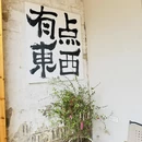 黄山旅游 缩略图 17