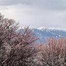 甘孜旅游 缩略图 4