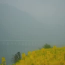 黄山旅游 缩略图 2