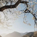 成都旅游 缩略图 2