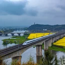 黄山旅游 缩略图 4