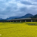 黄山旅游 缩略图 5