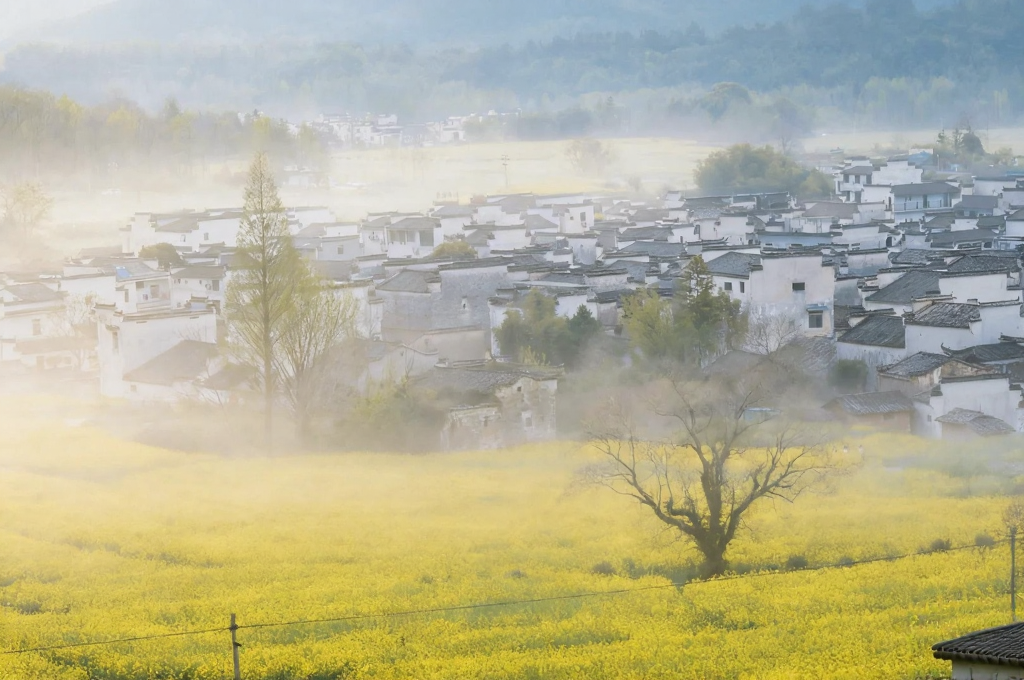黄山旅游
