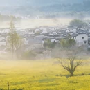 黄山旅游 缩略图 1