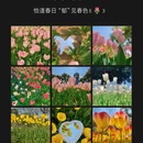 无锡旅游 缩略图 1