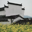 黄山旅游 缩略图 2