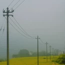 黄山旅游 缩略图 5