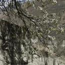 阿坝旅游 缩略图 3