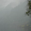 黄山旅游 缩略图 6