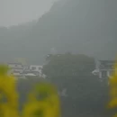 黄山旅游 缩略图 8