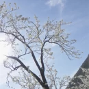 阿坝旅游 缩略图 5