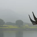 黄山旅游 缩略图 9