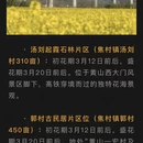 黄山旅游 缩略图 5