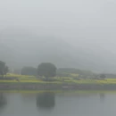 黄山旅游 缩略图 12