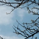 宣城旅游 缩略图 8