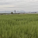 黄山旅游 缩略图 2