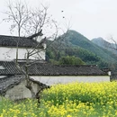 黄山旅游 缩略图 3