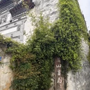 黄山旅游 缩略图 3