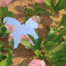 无锡旅游 缩略图 4
