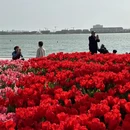 苏州旅游 缩略图 5