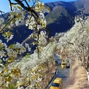 阿坝旅游 缩略图 3